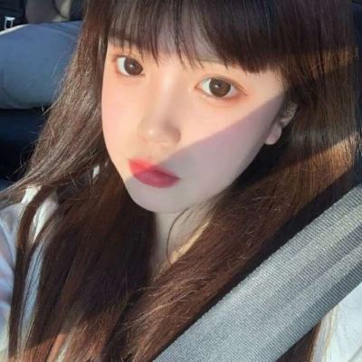 龙兽争霸3猛禽小队游戏下载