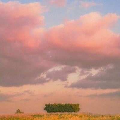 梦幻诸石手游公测版下载