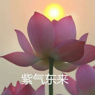 守望者联盟官方游戏下载